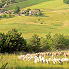 L'élevage à la ferme La Rizane